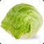 Le Lechuga