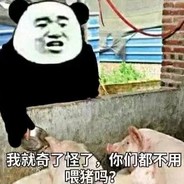 沈陽大街の疾走帝