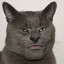 Meow_Meow.laser