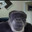 fm Steam avatar