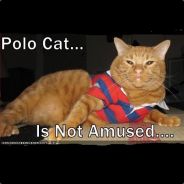 Polo-Kat