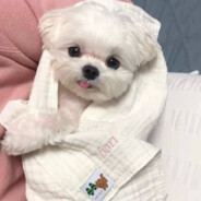 我陈某与赌毒不共戴天