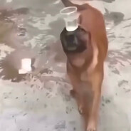 Vladik - steam id 76561199054616626