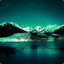 tim_sun