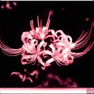 别骂了！我是真菜