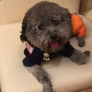 Big Avatar