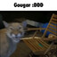 Gougar :DDD