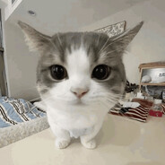 PerteQ