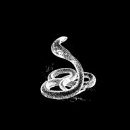 Morrys♥ - steam id 76561199236561854