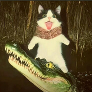 打了个饱葛先生