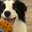 Goddex