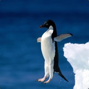 pingvin678