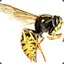 YellowJacket