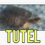 Tutel