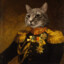 DICTADOR MEOW