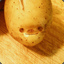 PotatoEater548
