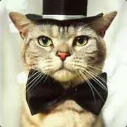EL GATO