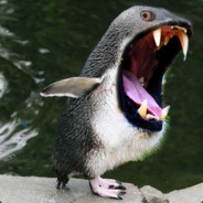 NinjaPenguin [TNF]