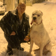 _KENE_ - steam id 76561198253675518