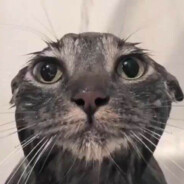 ็็็็็็็็็็