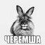 Вазелиновое дрысло