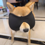 甜妹也有咸的地方