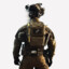 SR02_CAMELEON