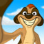 Timon