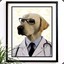 Señor Doc Doggo