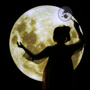 只想摸鱼的墓枳