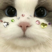 ( ˃̶̤́ ꒳ ˂̶̤̀ )