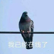 明仔不咕