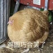 哈基入也想玩游戏