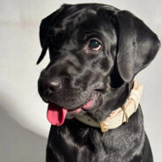 海珠区坐牢囚犯🚫🚫🚫🚫