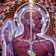 Nexus Hysteria [x9] - steam id 76561197965578729