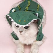 ^8 TikTok: kacpereqs_re