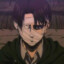 Levi