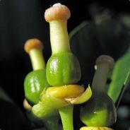 MiNdAr - steam id 76561197965760527