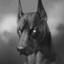 [GDL] Perro del Mal