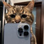anf1eld one lifelong