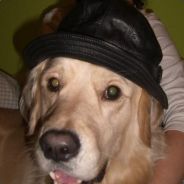 meth0s - steam id 76561197960715124