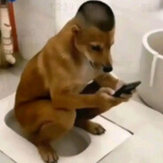 tvelfy