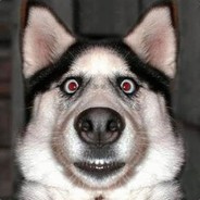 wwwwwwwz1 - steam id 76561198158426579