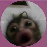 F1ash - steam id 76561199084723028