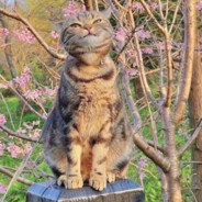 Avatar 8 093 дней без секса