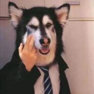 我枪有JB一半硬就猎了