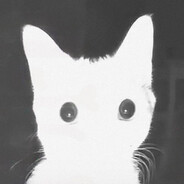 paaltys - steam id 76561199860329522