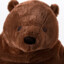 ikea teddy bear's avatar