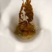 sraczek_franek_cichacz