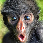 _KoM_Ma_ToZZ_38_RUS_